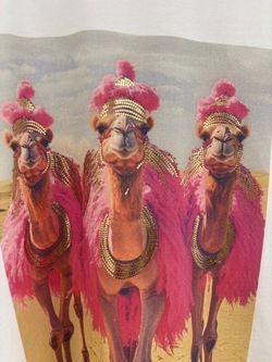 CAMISETA CAMEL ROSA