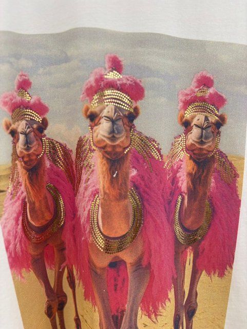 CAMISETA CAMEL ROSA