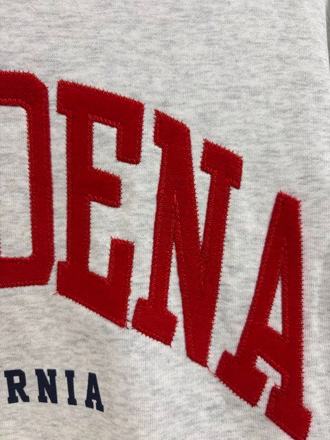 SUDADERA PASADENA CALIFORNIA COLOR GRIS